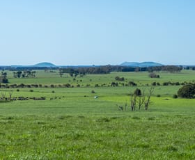Rural / Farming commercial property for sale at 88 Leveretts Road Naroghid VIC 3266