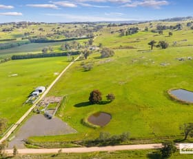 Rural / Farming commercial property sold at 95 Kennys Lane Tooborac VIC 3522