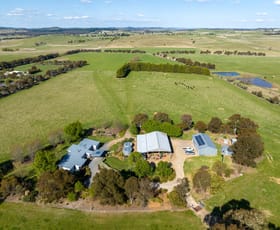 Rural / Farming commercial property sold at 548 Emu Swamp Road Orange NSW 2800