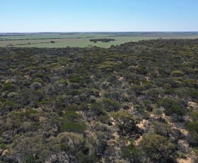 Rural / Farming commercial property sold at Lot 25253 Ellery Road South Burracoppin WA 6421