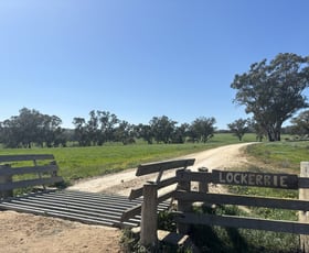 Rural / Farming commercial property for sale at 1717 Lockerbie Road Dunedoo NSW 2844