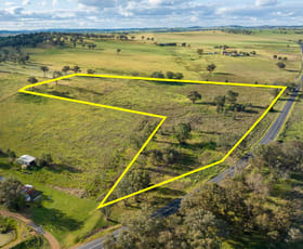 Rural / Farming commercial property for sale at Lots 271, 313 & 277 Cargo Road Canowindra NSW 2804