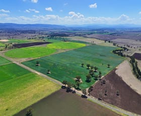 Rural / Farming commercial property sold at 226 Dartbrook Road Aberdeen NSW 2336