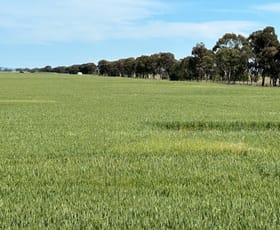 Rural / Farming commercial property for sale at Mt Terricks Road ( Roslynmead) Echuca VIC 3564