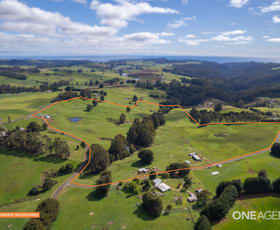 Rural / Farming commercial property for sale at 1 Loonah Road Natone TAS 7321