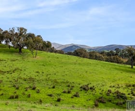 Rural / Farming commercial property sold at 167 Oneill Lane Sandy Creek VIC 3695