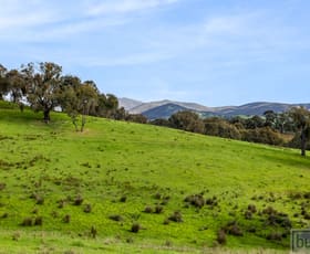 Rural / Farming commercial property for sale at 167 Oneill Lane Sandy Creek VIC 3695