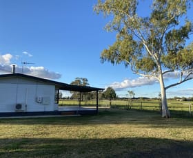 Rural / Farming commercial property for sale at 345 Castlereagh Hwy Coonamble NSW 2829
