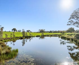 Rural / Farming commercial property for sale at 189 Siddles Road Redesdale VIC 3444