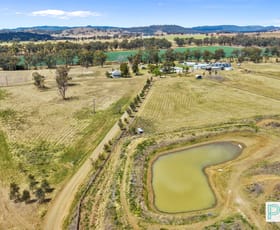 Rural / Farming commercial property for sale at 'Kooringa' 123 Monteray Road Tamworth NSW 2340