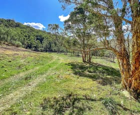 Rural / Farming commercial property sold at Lot B Olney Arm Road Laguna NSW 2325