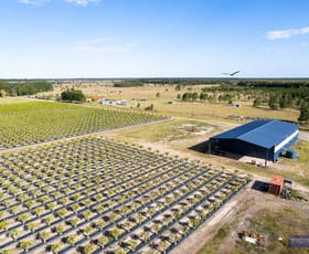 Rural / Farming commercial property for sale at Caboolture QLD 4510