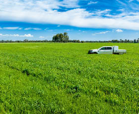Rural / Farming commercial property for sale at 'Arden Vale' Walbundrie Road Walla Walla NSW 2659