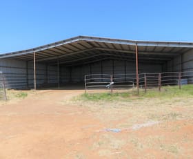 Rural / Farming commercial property for sale at 'Eden Hope' 2401 Six Mile Rd Roma QLD 4455