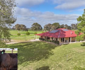 Rural / Farming commercial property for sale at 294 Bowaka Road Kingston Se SA 5275