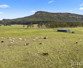 Rural / Farming commercial property sold at 244 Whitings Lane Quorrobolong NSW 2325