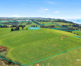 Rural / Farming commercial property sold at 00 Creamery Road Sulphur Creek TAS 7316