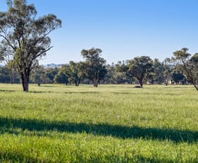 Rural / Farming commercial property sold at Guabinga 51L Nubingerie Road Benolong NSW 2818