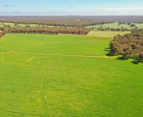 Rural / Farming commercial property sold at Lot 2 Pretty Gully Road Chowerup WA 6244