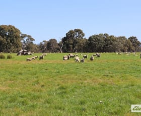 Rural / Farming commercial property for sale at CA 91a 91b Mitchell Street Glenthompson VIC 3293