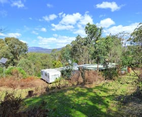 Rural / Farming commercial property sold at 1970 Towamba Rd Towamba NSW 2550