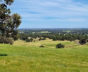 Rural / Farming commercial property for sale at Lot 100 Coalfields Highway Roelands WA 6226