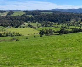 Rural / Farming commercial property for sale at 43 Turkey Farm Road Glengarry TAS 7275