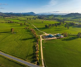 Rural / Farming commercial property for sale at 1036 Taggerty - Thornton Road Thornton VIC 3712