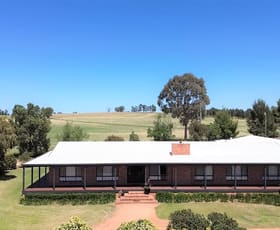 Rural / Farming commercial property for sale at 12 Cockrams Road Paytens Bridge NSW 2871