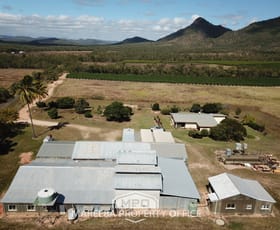 Rural / Farming commercial property sold at 350 Top Eureka Road Dimbulah QLD 4872