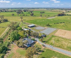 Rural / Farming commercial property for sale at 1476 Girgarre-Rushworth Road Stanhope VIC 3623
