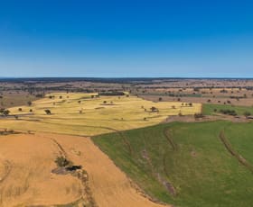 Rural / Farming commercial property sold at 256 Uliman Road Purlewaugh NSW 2357