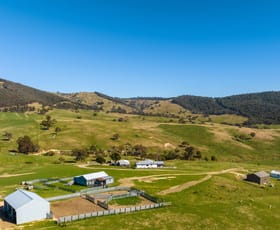 Rural / Farming commercial property for sale at 85 and 85A Tices Road Omeo VIC 3898