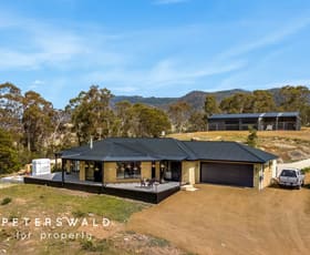 Rural / Farming commercial property sold at 1223 Elderslie Road Broadmarsh TAS 7030