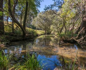 Rural / Farming commercial property for sale at 112 Homeleigh Road, Homeleigh via Kyogle NSW 2474