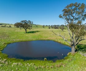 Rural / Farming commercial property sold at 182 Rockdell Road Lyndhurst NSW 2797