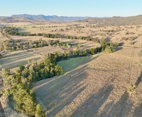 Rural / Farming commercial property sold at "Tallawang" 358 Cattle Creek Road Parraweena NSW 2339