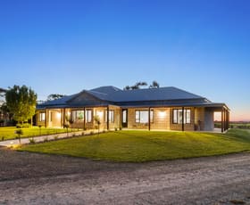 Rural / Farming commercial property for sale at 758 Plush Hannans Road Lower Norton VIC 3401