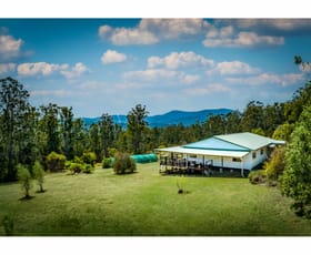 Rural / Farming commercial property sold at 700 Cemetery Bend Road Tyringham NSW 2453