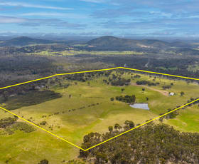 Rural / Farming commercial property sold at 1335 Seymour-Tooborac Road Hilldene VIC 3660