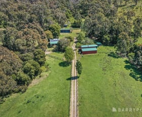 Rural / Farming commercial property sold at 2269 Melba Highway Dixons Creek VIC 3775