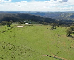 Rural / Farming commercial property sold at 2248 Fullerton Road Fullerton NSW 2583