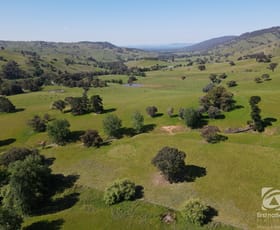 Rural / Farming commercial property sold at 2288 Beechworth-Wodonga Road Leneva VIC 3691