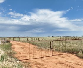 Rural / Farming commercial property sold at Petersons Hill Quongdong Road Deniliquin NSW 2710