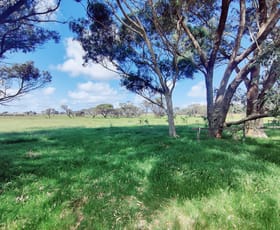Rural / Farming commercial property for sale at Lot 2 Wright Road Monjingup WA 6450