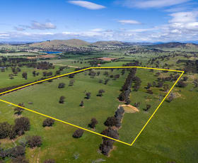 Rural / Farming commercial property sold at Lot 1 Carmel Park/177 Jones Lane Springrange NSW 2618