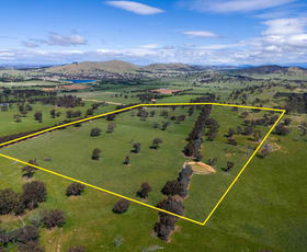 Rural / Farming commercial property sold at Lot 1 Carmel Park/177 Jones Lane Springrange NSW 2618