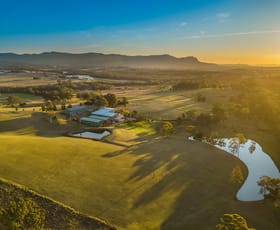 Rural / Farming commercial property for sale at 151 Palmers Lane Pokolbin NSW 2320