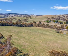 Rural / Farming commercial property sold at Lot 6 Curly Dick Road Meadow Flat NSW 2795