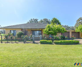 Rural / Farming commercial property for sale at 599-577 Whorouly River Road Whorouly VIC 3735